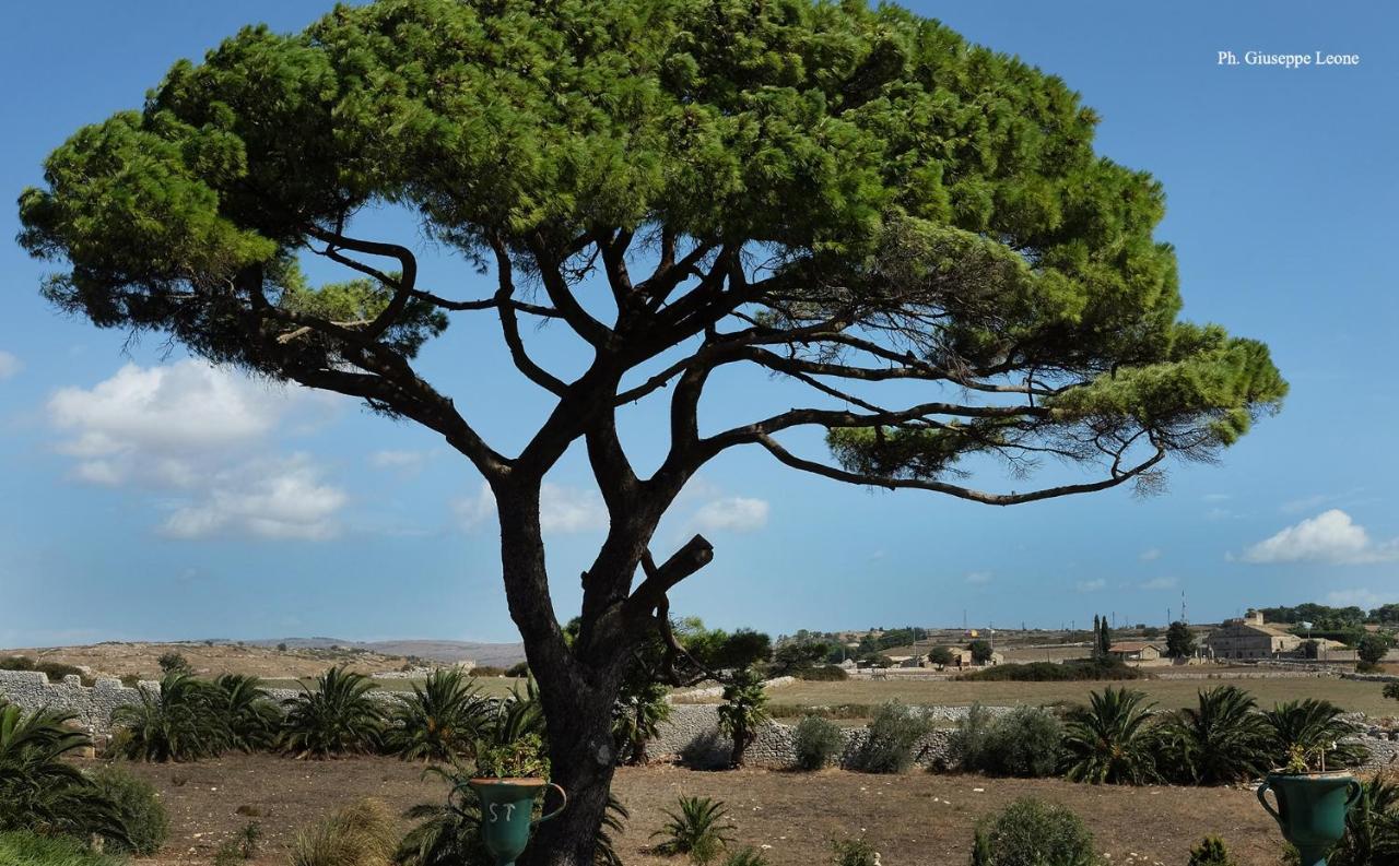 Villa Castiglione 1863 - The Real Sicilian Holiday Ragusa Exterior foto